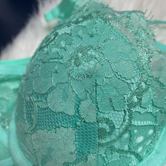 NWT Honey Birdette Vanessa Mint Bra - Picture 15 of 16